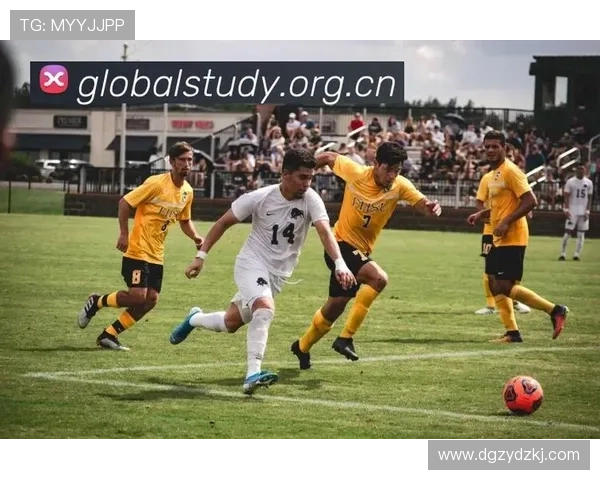 ✅体育直播🏆世界杯直播🏀NBA直播⚽- 广东惠州、韶关、肇庆3名干部被“双开”- sports ✅体育直播🏆世界杯直播🏀NBA直播⚽- 广东惠州、韶关、肇庆3名干部被“双开”- sports