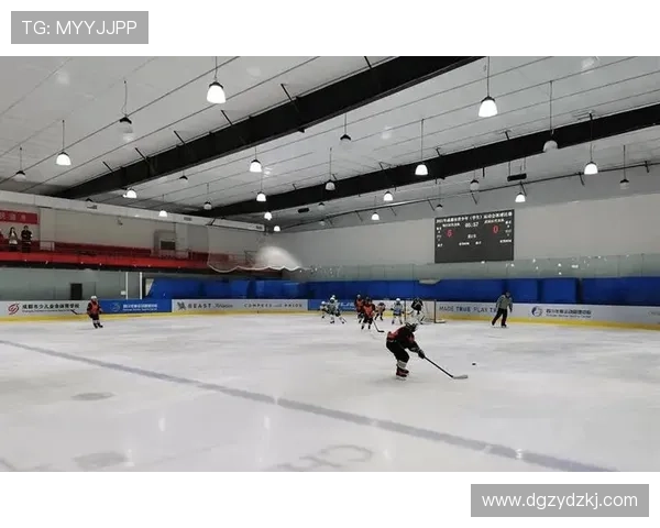 中国体育之城冰雪联赛（体育总局冰雪运动中心）sports