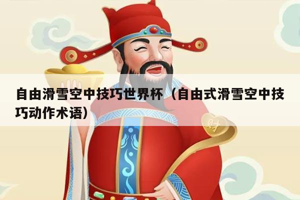 自由滑雪空中技巧世界杯(自由式滑雪空中技巧动作术语)