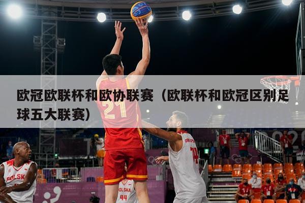 欧冠欧联杯和欧协联赛(欧联杯和欧冠区别足球五大联赛)