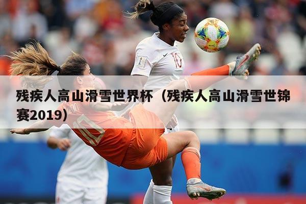 残疾人高山滑雪世界杯(残疾人高山滑雪世锦赛2019)