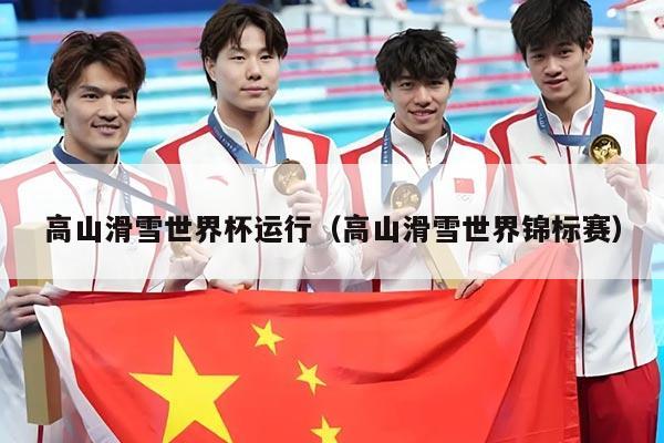 高山滑雪世界杯运行（高山滑雪世界锦标赛）