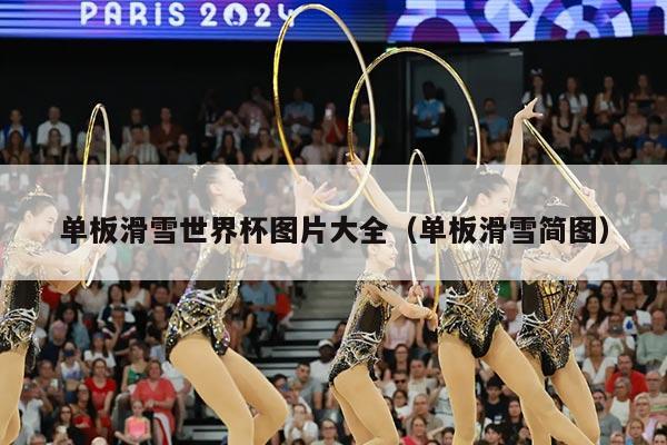 单板滑雪世界杯图片大全（单板滑雪简图）