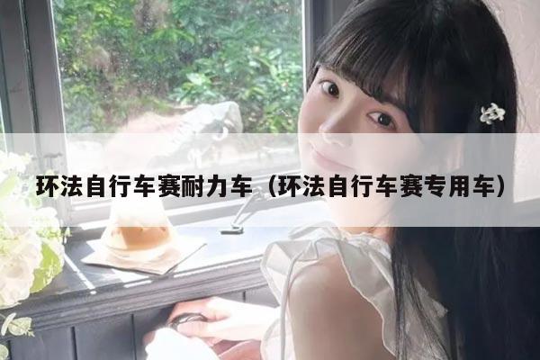 环法自行车赛耐力车（环法自行车赛专用车）