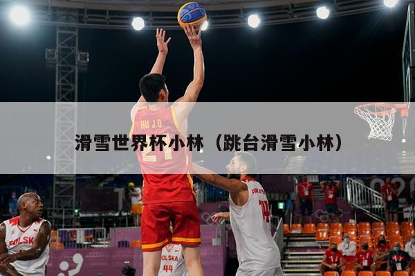 滑雪世界杯小林（跳台滑雪小林）