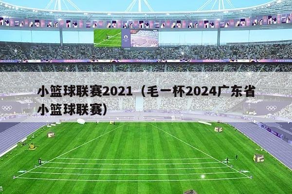 小篮球联赛2021（毛一杯2024广东省小篮球联赛）