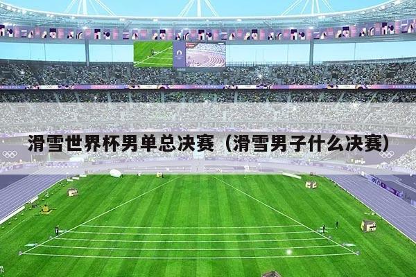 滑雪世界杯男单总决赛（滑雪男子什么决赛）