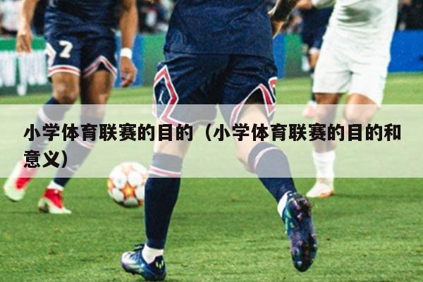 小学体育联赛的目的（小学体育联赛的目的和意义）