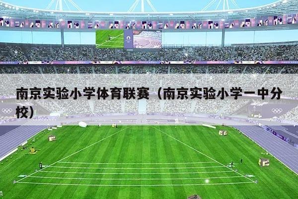 南京实验小学体育联赛（南京实验小学一中分校）