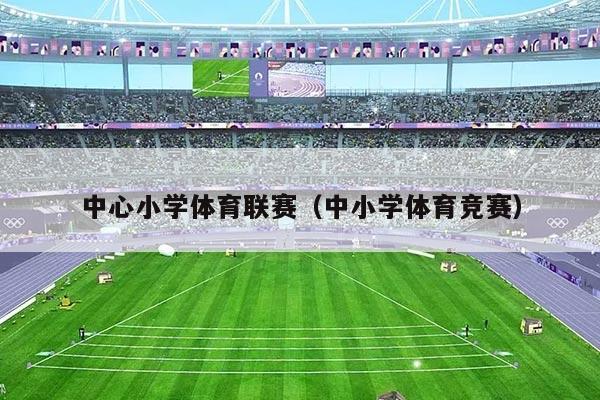 中心小学体育联赛(中小学体育竞赛)