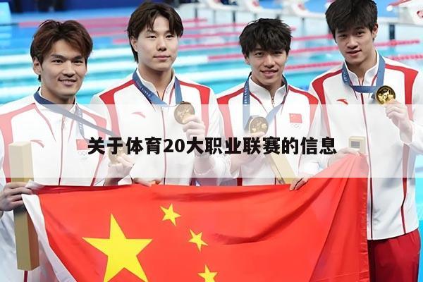 关于体育20大职业联赛的信息