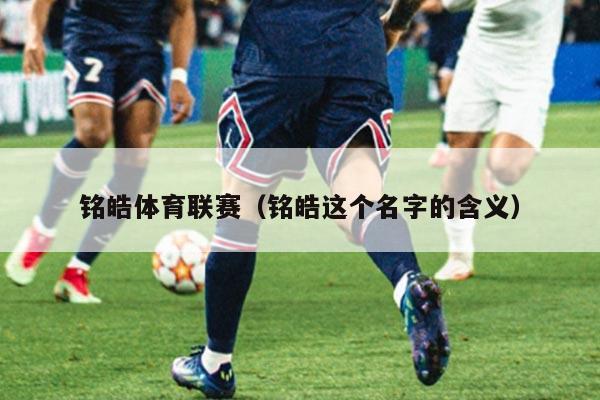 铭皓体育联赛(铭皓这个名字的含义)