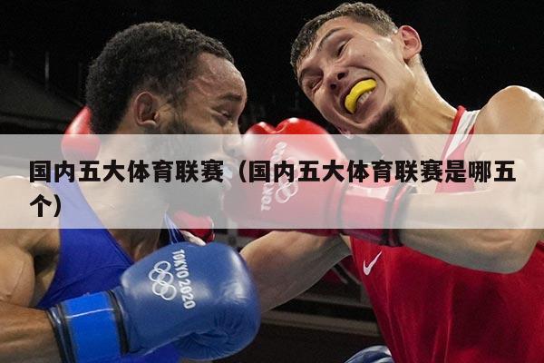 国内五大体育联赛（国内五大体育联赛是哪五个）