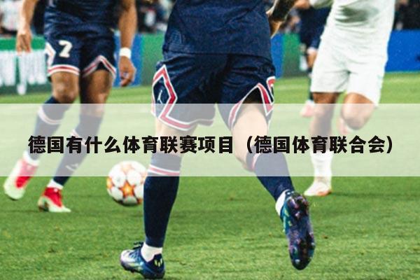 德国有什么体育联赛项目(德国体育联合会)