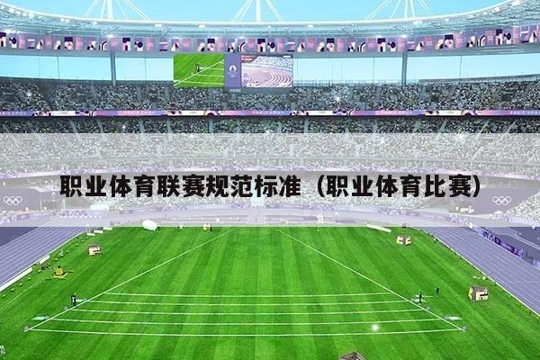 职业体育联赛规范标准（职业体育比赛）