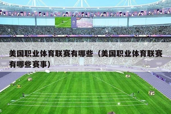 美国职业体育联赛有哪些（美国职业体育联赛有哪些赛事）