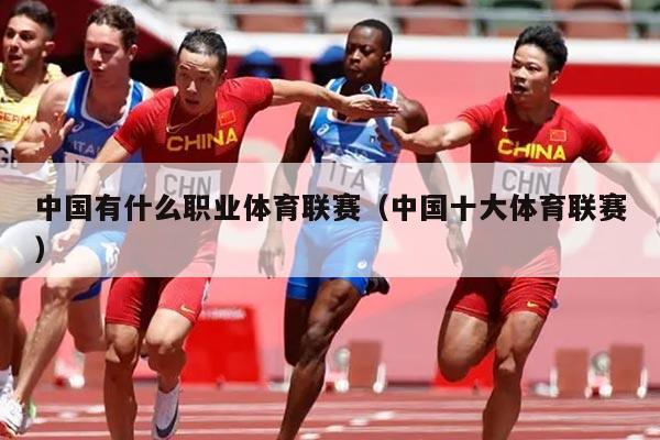 中国有什么职业体育联赛（中国十大体育联赛）