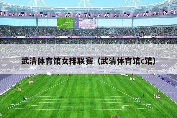 武清体育馆女排联赛（武清体育馆c馆）