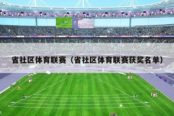省社区体育联赛（省社区体育联赛获奖名单）