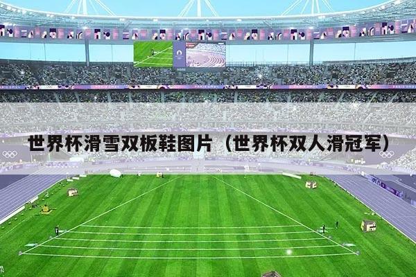 世界杯滑雪双板鞋图片(世界杯双人滑冠军)