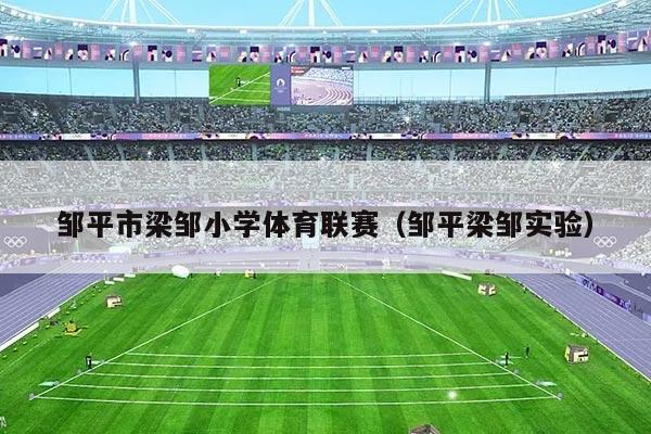 邹平市梁邹小学体育联赛（邹平梁邹实验）