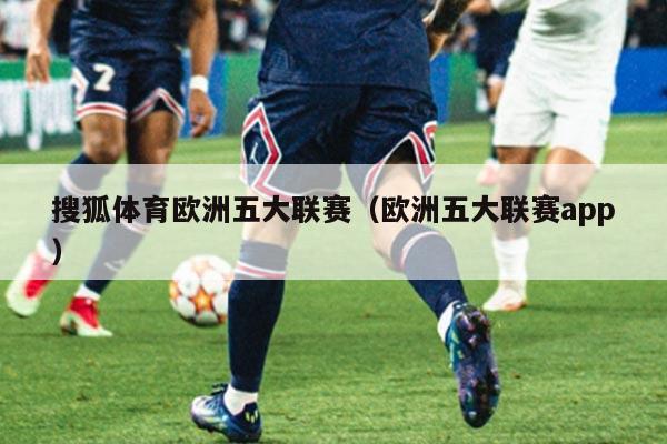 搜狐体育欧洲五大联赛(欧洲五大联赛app)