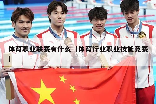 体育职业联赛有什么（体育行业职业技能竞赛）