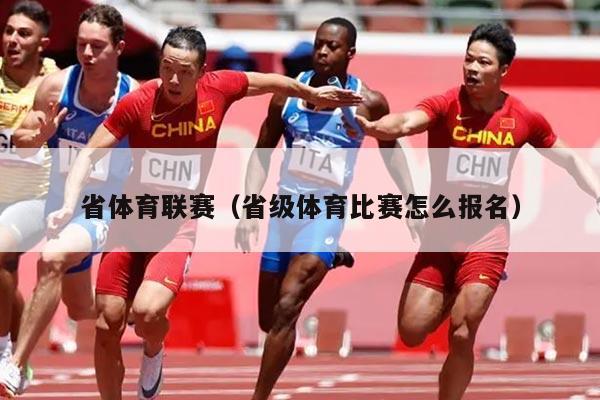 省体育联赛（省级体育比赛怎么报名）