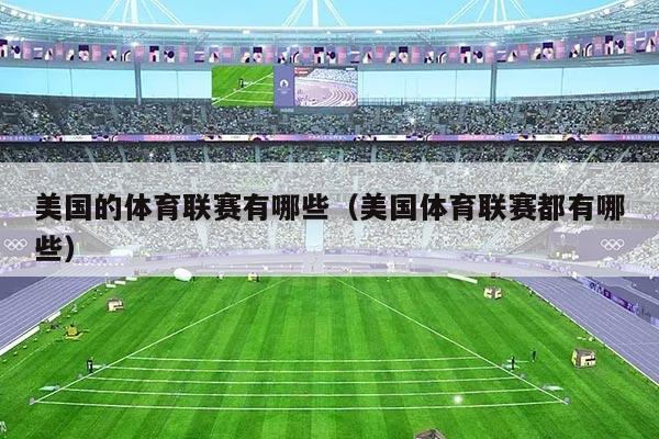美国的体育联赛有哪些（美国体育联赛都有哪些）