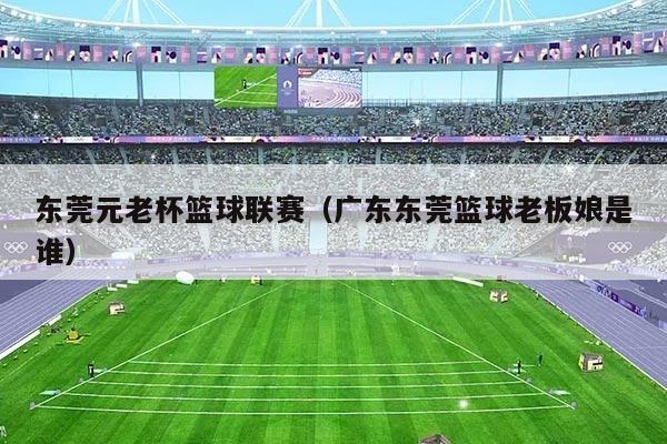 东莞元老杯篮球联赛（广东东莞篮球老板娘是谁）