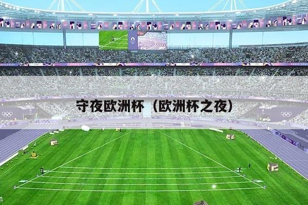 守夜欧洲杯（欧洲杯之夜）