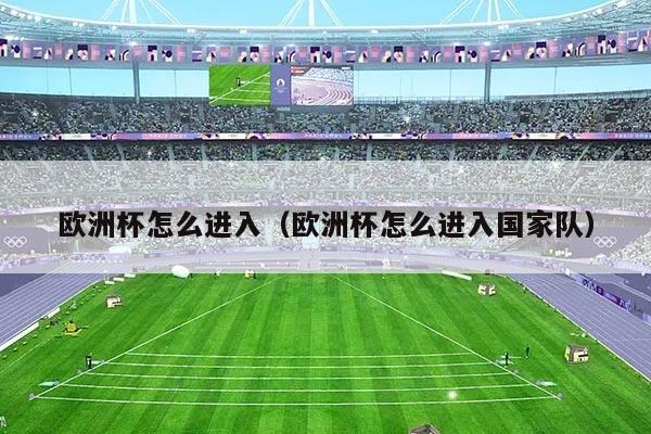 欧洲杯怎么进入（欧洲杯怎么进入国家队）